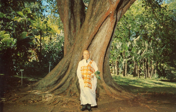Foster Botanic Gardens, Honolulu, HI - Carey's Emporium
