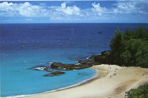 Blue Pacific Ocean, HI - Carey's Emporium