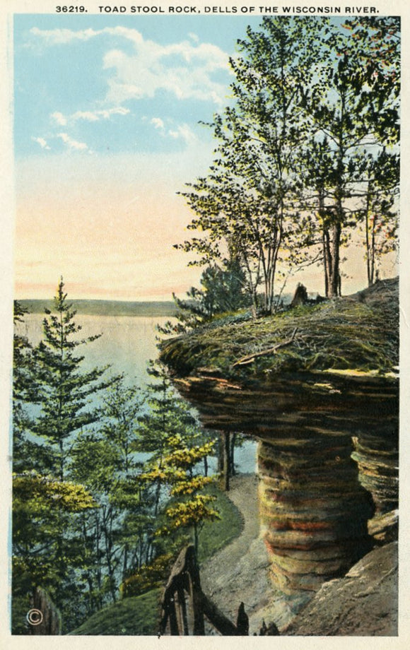 Toad Stool Rock, Dells of the Wisconsin River, WI - Carey's Emporium