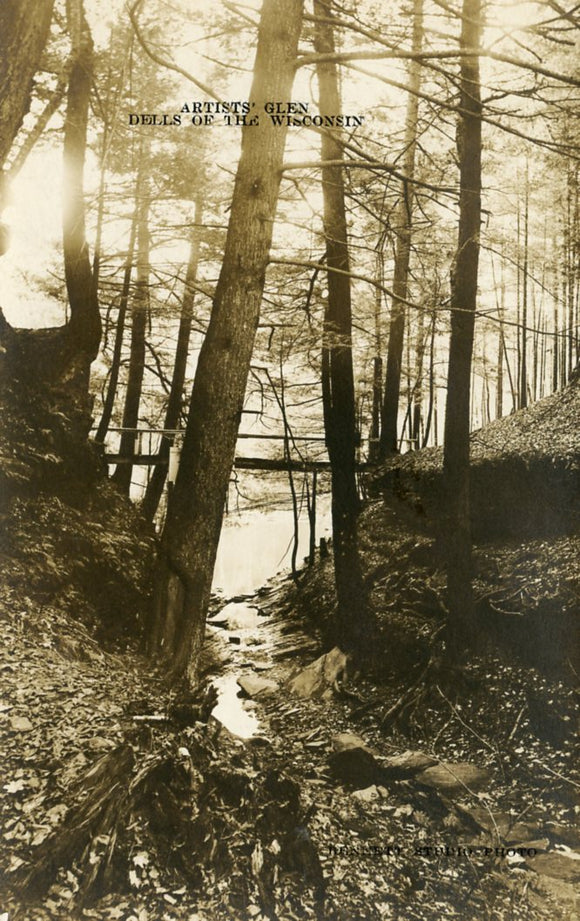 Artists' Glen, Dells of the Wisconsin, WI - Carey's Emporium