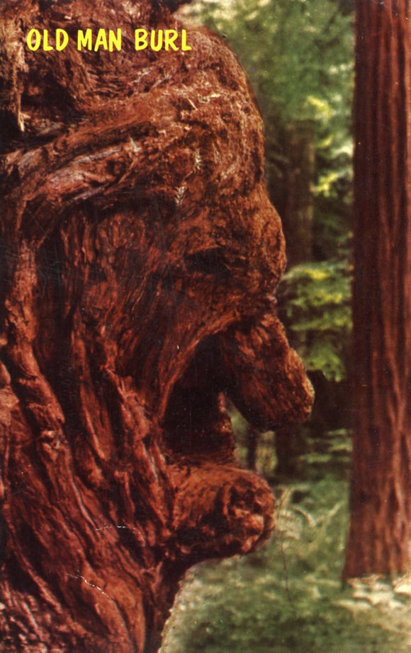 Old Man Burl, CA - Carey's Emporium
