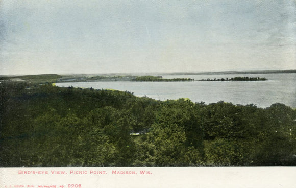 Bird's-Eye View, Picnic Point, Madison, WI - Carey's Emporium