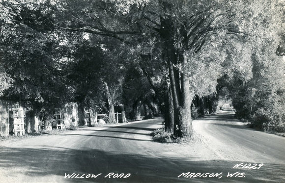 Willow Road, Madison, WI - Carey's Emporium