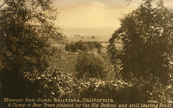 Mission San Juan Bautista, CA - Carey's Emporium