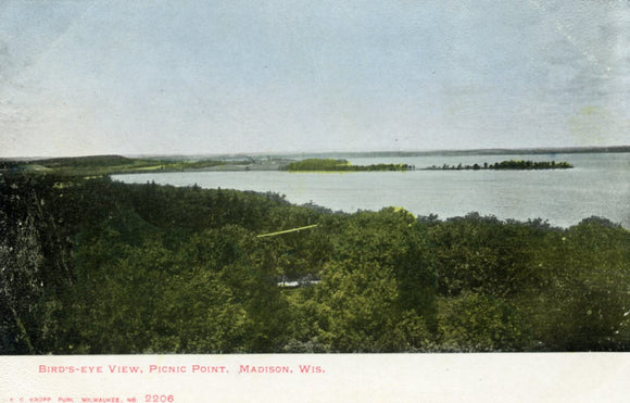 Bird's-Eye View, Picnic Point, Madison, WI - Carey's Emporium