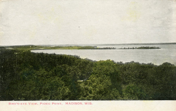 Bird's-Eye View, Picnic Point, Madison, WI - Carey's Emporium