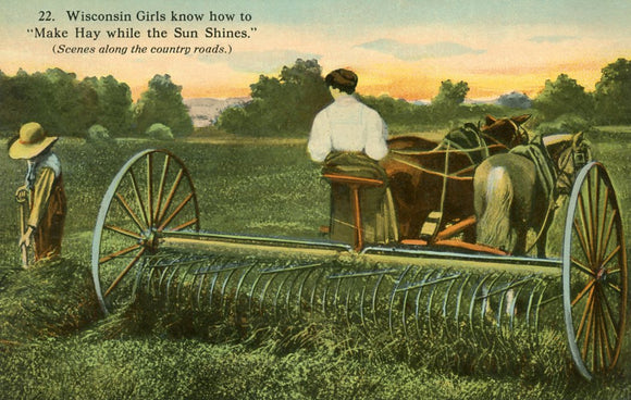 Wisconsin Girls know how to Make Hay while the Sun Shines - Carey's Emporium