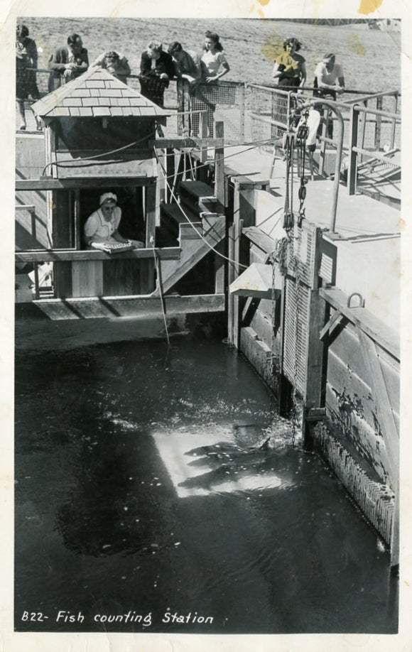 Fish Counting Station, Newberg, WI - Carey's Emporium