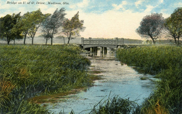 Bridge on U. of W. Drive, Madison, WI - Carey's Emporium