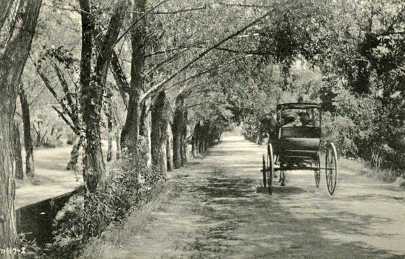 Willow Park Driveway, Madison, WI - Carey's Emporium