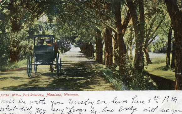 Willow Park Driveway, Madison, WI - Carey's Emporium
