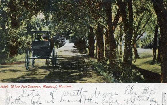 Willow Park Driveway, Madison, WI - Carey's Emporium