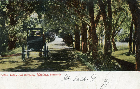 Willow Park Driveway, Madison, WI - Carey's Emporium