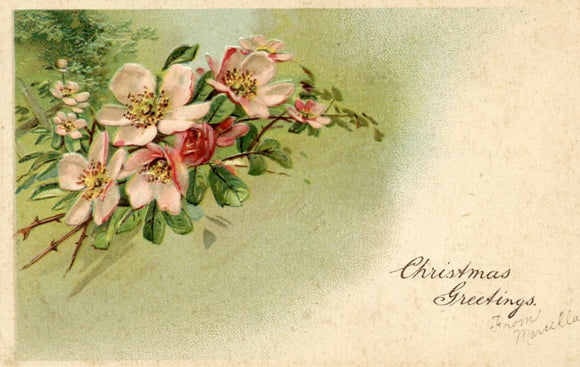 Christmas Greetings - Carey's Emporium