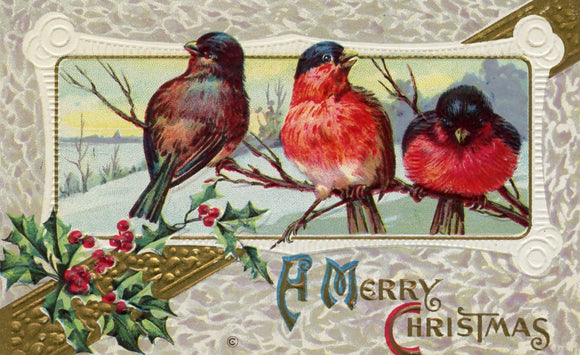 A Merry Christmas - Carey's Emporium