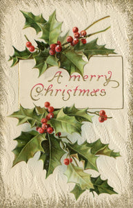 A Merry Christmas - Carey's Emporium