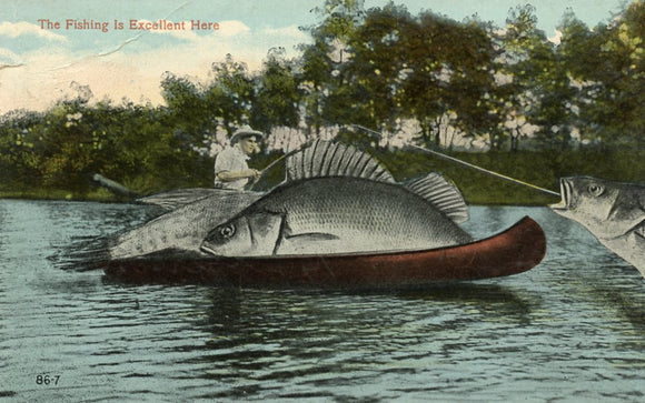 The Fishing is Excellent Here - Carey's Emporium