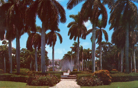 Fountain with Boca Raton Hotel and Club in background, Boca Raton, FL - Carey's Emporium