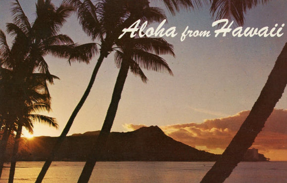 Aloha from Hawaii - Carey's Emporium