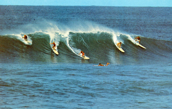 Surfing in Hawaii - Carey's Emporium