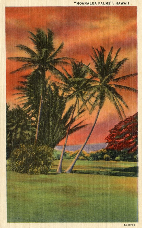 Moanalua Palms, HI - Carey's Emporium