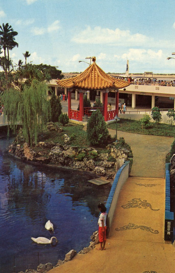 Lovely Oriental Garden at Honolulu's beautiful new International Jet Airport, HI - Carey's Emporium