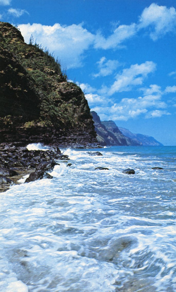 Haena, with Na Pali Coast in the background, Kauai, HI - Carey's Emporium