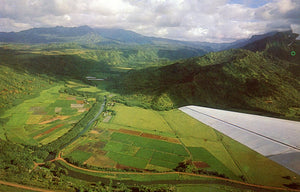 Hanalei Valley, Kauai, HI - Carey's Emporium