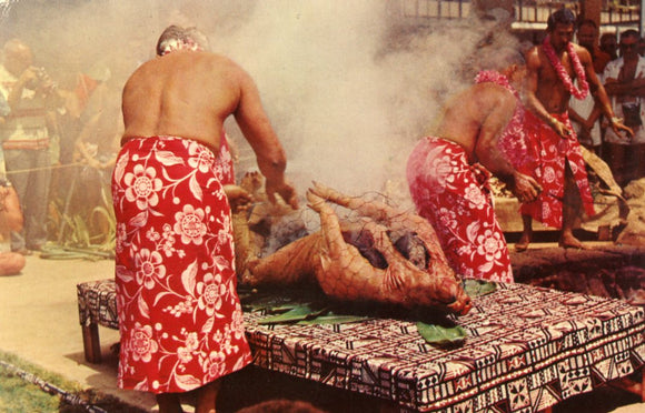 Luau Pig, HI - Carey's Emporium