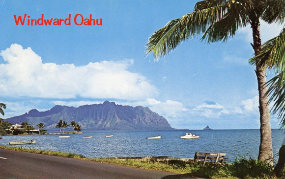 Windward Oahu, HI - Carey's Emporium