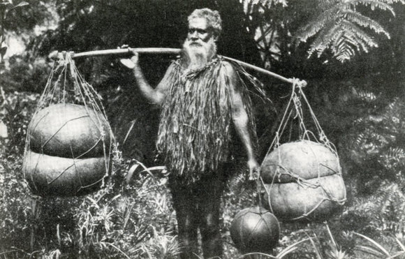 A Calabash carrier in a Hawaiian fern forest, circa 1920 - Carey's Emporium
