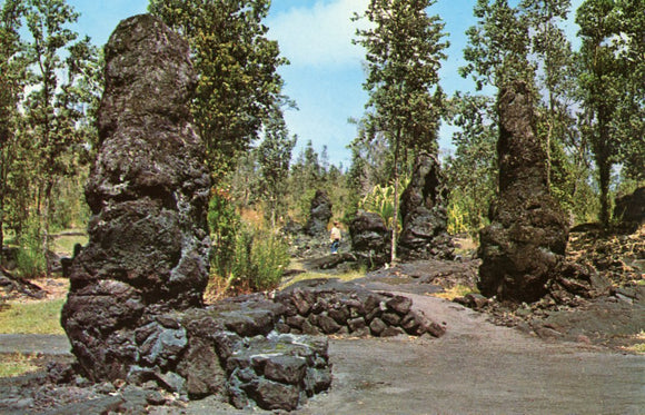 Lava Trees at Lava Tree State Park, Island of Hawaii - Carey's Emporium