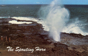 The Spouting Horn, HI - Carey's Emporium