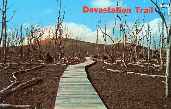 Devastation Trail, Hawaii Volcanoes National Park - Carey's Emporium
