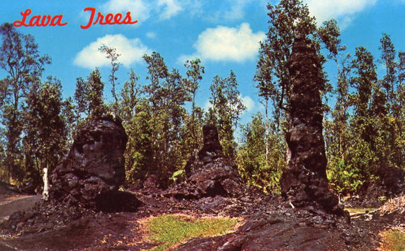 Lava Trees and Molds Stone Trees Left By Receding Molten Lava, Kapoho, Puna, HI - Carey's Emporium