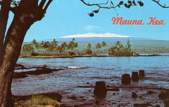 Mauna Kea, Hilo, HI - Carey's Emporium