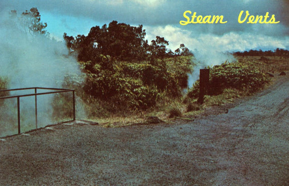 Steam Vents, Hawaii Volcanoes National Park - Carey's Emporium