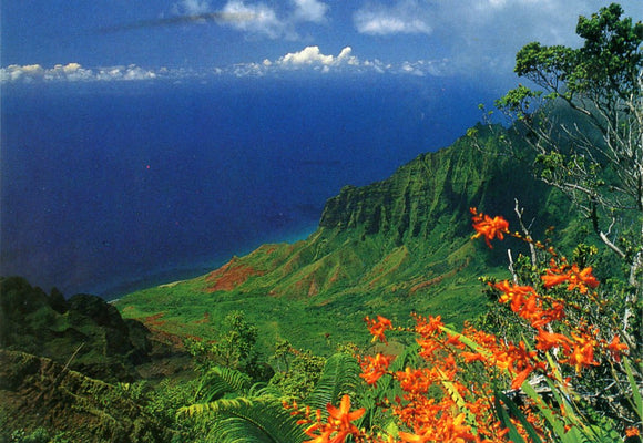 Kalalau Valley, Kauai, HI - Carey's Emporium