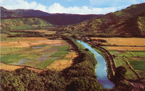 Hanalei Valley, Kauai, HI - Carey's Emporium