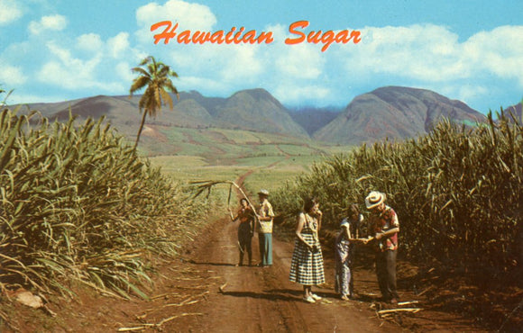 Hawaiian Sugar - Carey's Emporium