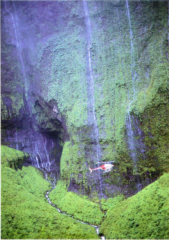 Waialeale, the wettest spot on Earth! - Carey's Emporium