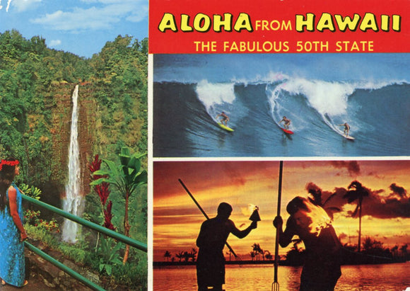 Aloha from Hawaii, the Fabulous 50th State - Carey's Emporium
