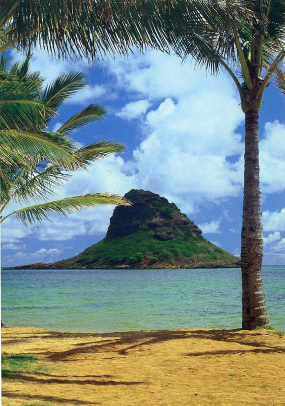 Mokoli'i Islet, Oahu, HI - Carey's Emporium