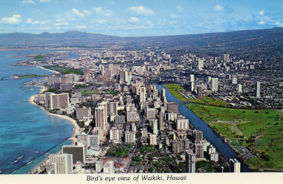 Bird's eye view of Waikiki, HI - Carey's Emporium