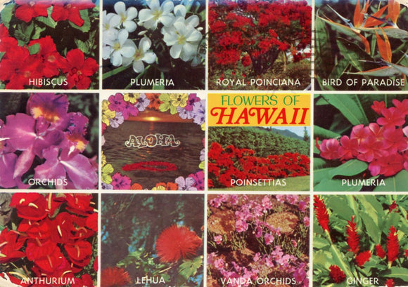 Flowers of Hawaii - Carey's Emporium