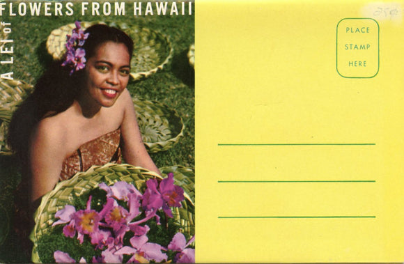 A Lei of Flowers from Hawaii - Carey's Emporium