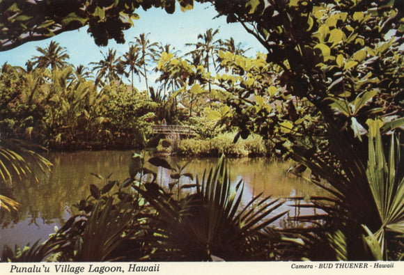Punalu'u Village Lagoon - Carey's Emporium