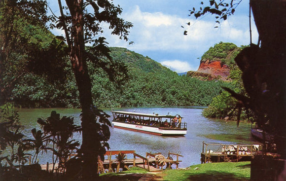 This beautiful view shows Smith's motor boat landing at Fern Grotto and shows a very tropical setting of Wailua River, Kauai, HI - Carey's Emporium