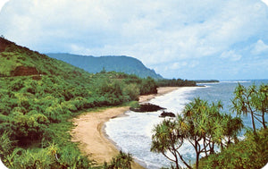 Lumahai Beach, Kauai, HI - Carey's Emporium