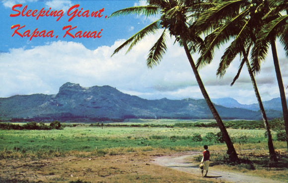 Sleeping Giant, Kapaa, Kauai, HI - Carey's Emporium